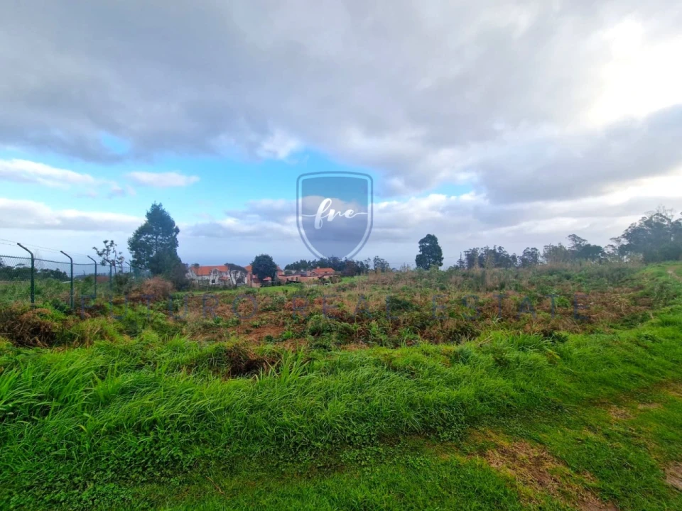 Terreno para Venda em Porto Moniz Foto 4
