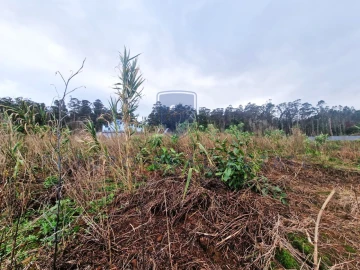 Terreno para Venda em Porto Moniz