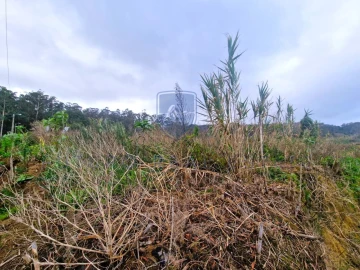 Terreno para Venda em Porto Moniz