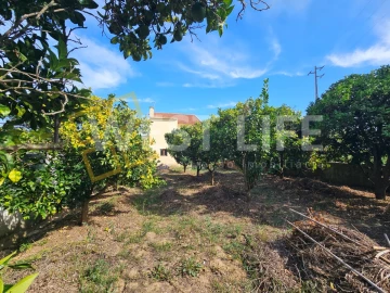Moradia T3 para Venda em Freiria