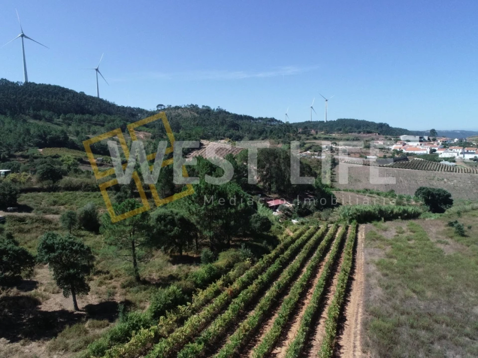 Terreno Agricola ou Rústico para Venda em Freiria Foto 4