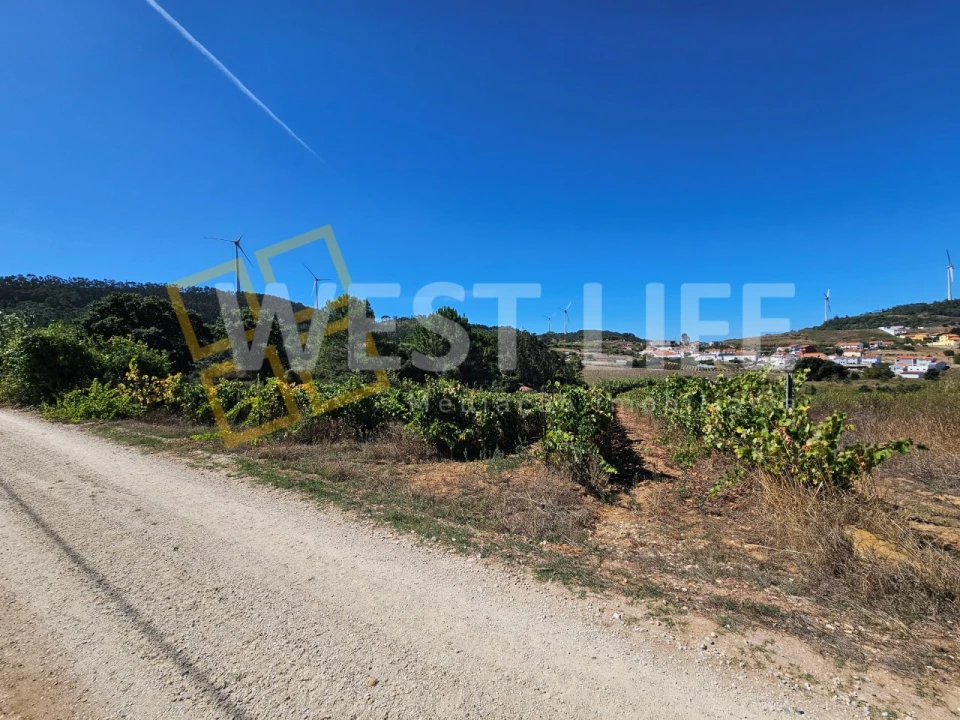 Terreno Agricola ou Rústico para Venda em Freiria Foto 8