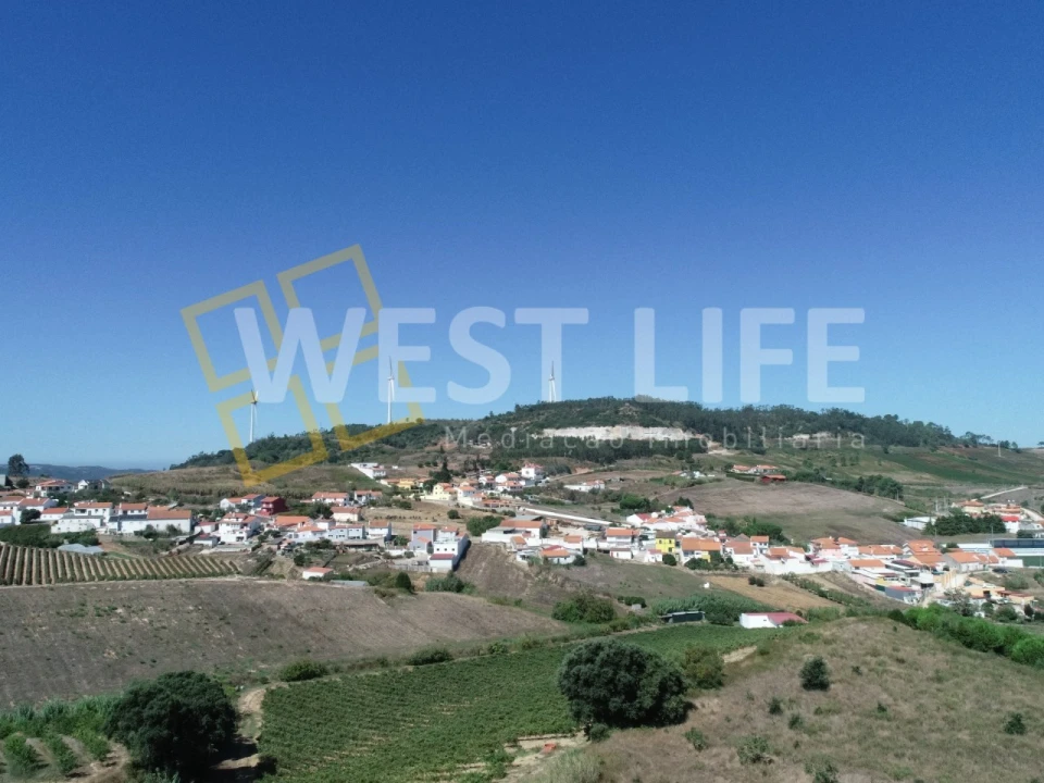 Terreno Agricola ou Rústico para Venda em Freiria Foto 10