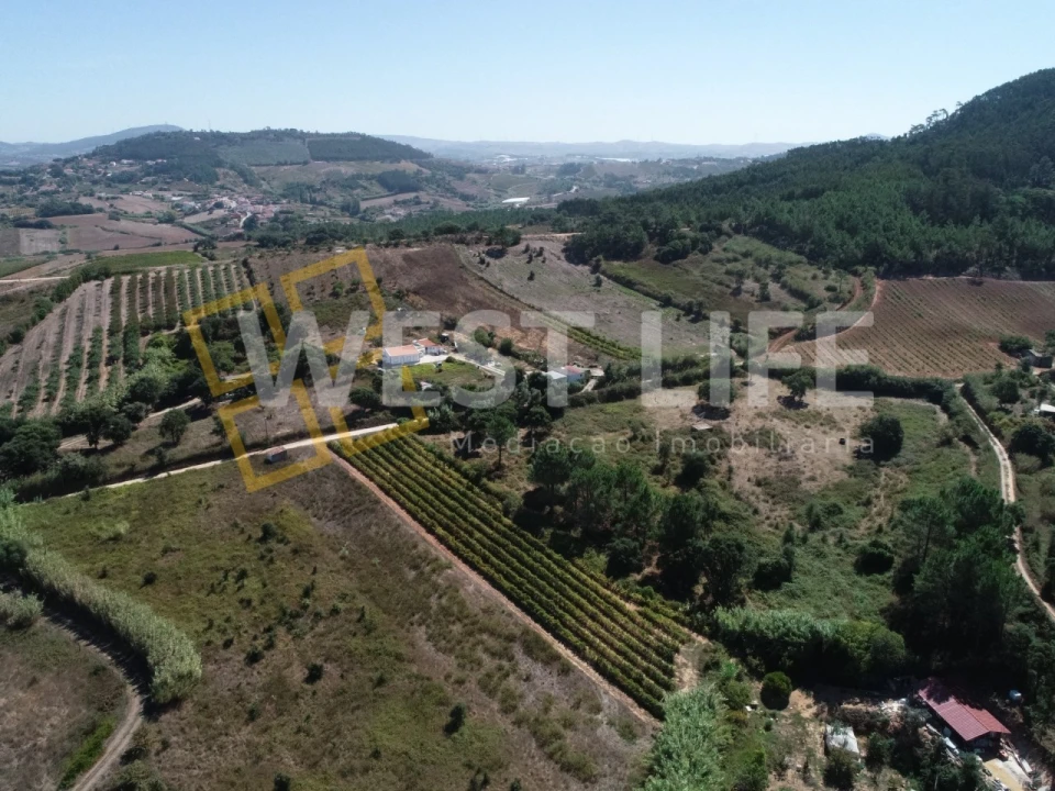 Terreno Agricola ou Rústico para Venda em Freiria Foto 12