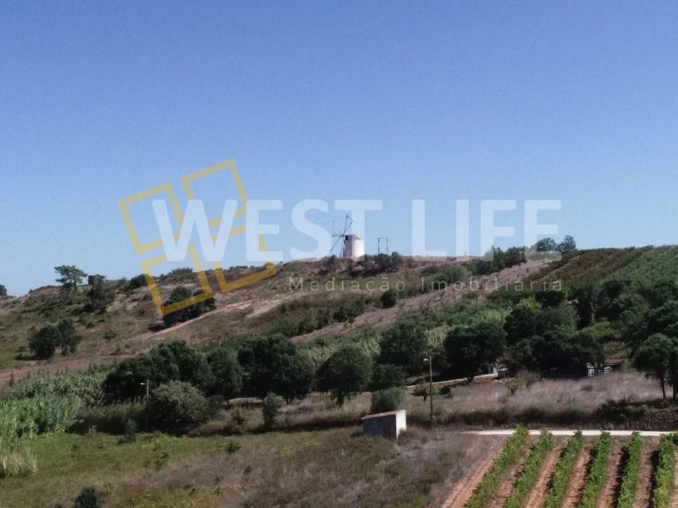 Terreno Agricola ou Rústico para Venda em Freiria Foto 14