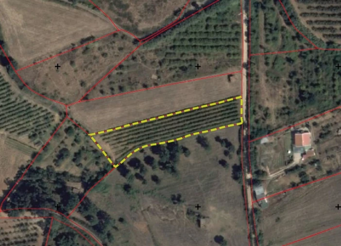 Terreno Agricola ou Rústico para Venda em Freiria Planta 1