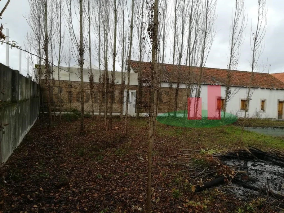 Moradia T6 para Venda em Santa Margarida da Coutada Foto 3