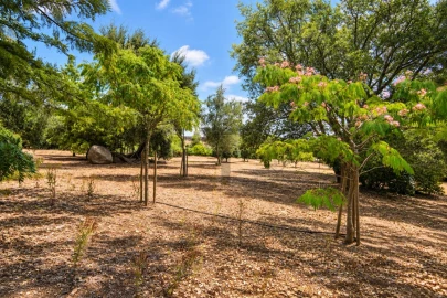 Quinta T4 para Venda em Nossa Senhora da Vila, Nossa Senhora do Bispo e Silveiras