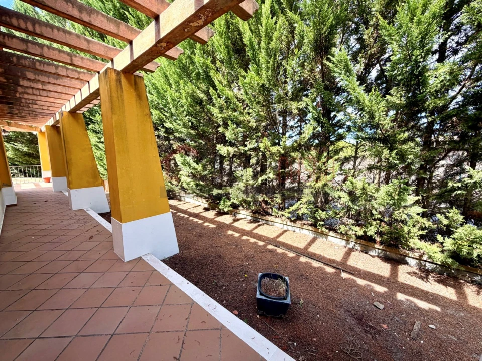 Quinta T7 para Venda em Ereira e Lapa Foto 57