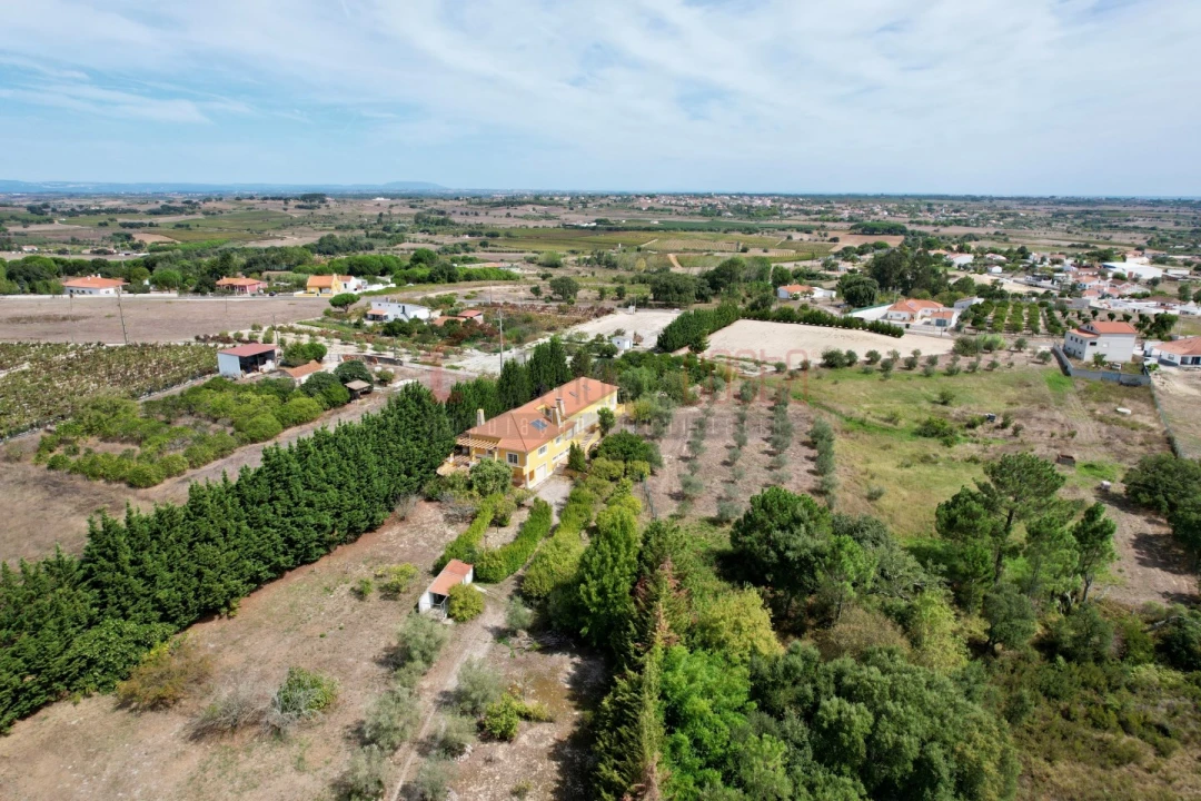 Quinta T7 para Venda em Ereira e Lapa Foto 68