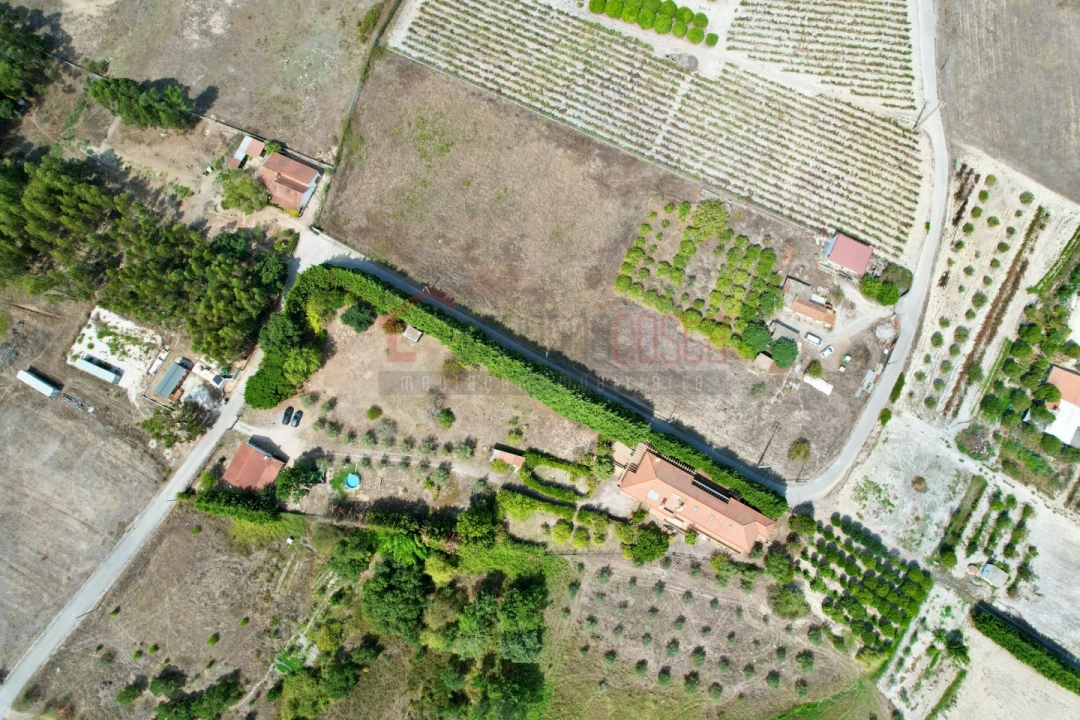 Quinta T7 para Venda em Ereira e Lapa Foto 69