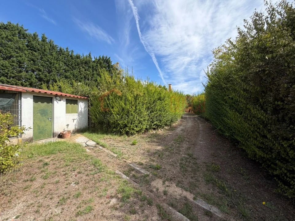 Quinta T7 para Venda em Ereira e Lapa Foto 81