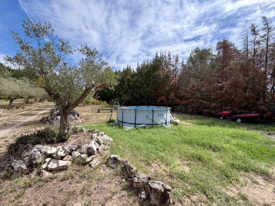 Quinta T7 para Venda em Ereira e Lapa Foto 78