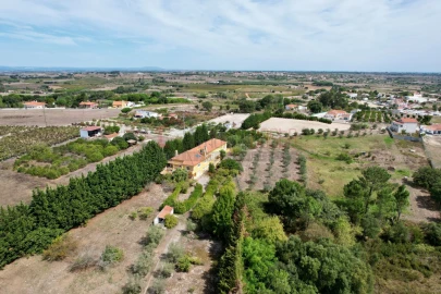 Quinta T7 para Venda em Ereira e Lapa