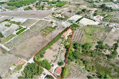 Quinta T7 para Venda em Ereira e Lapa