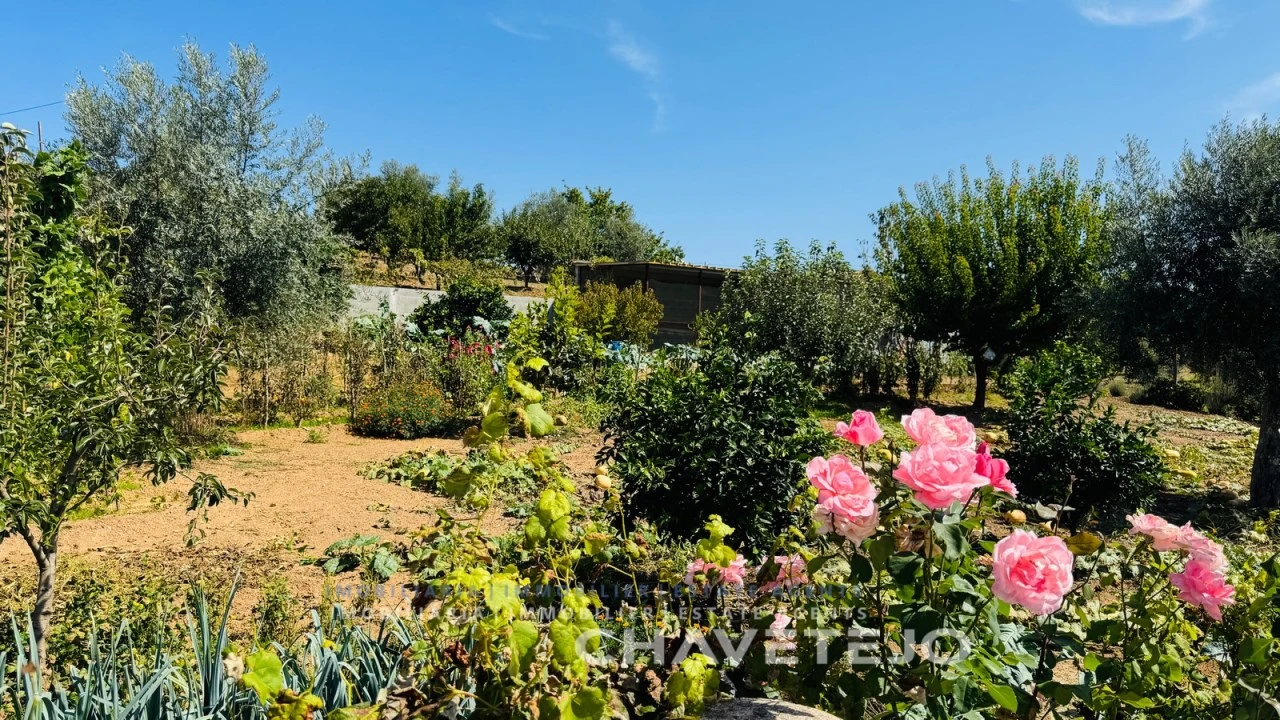 Quinta T5 para Venda em Graça Foto 20
