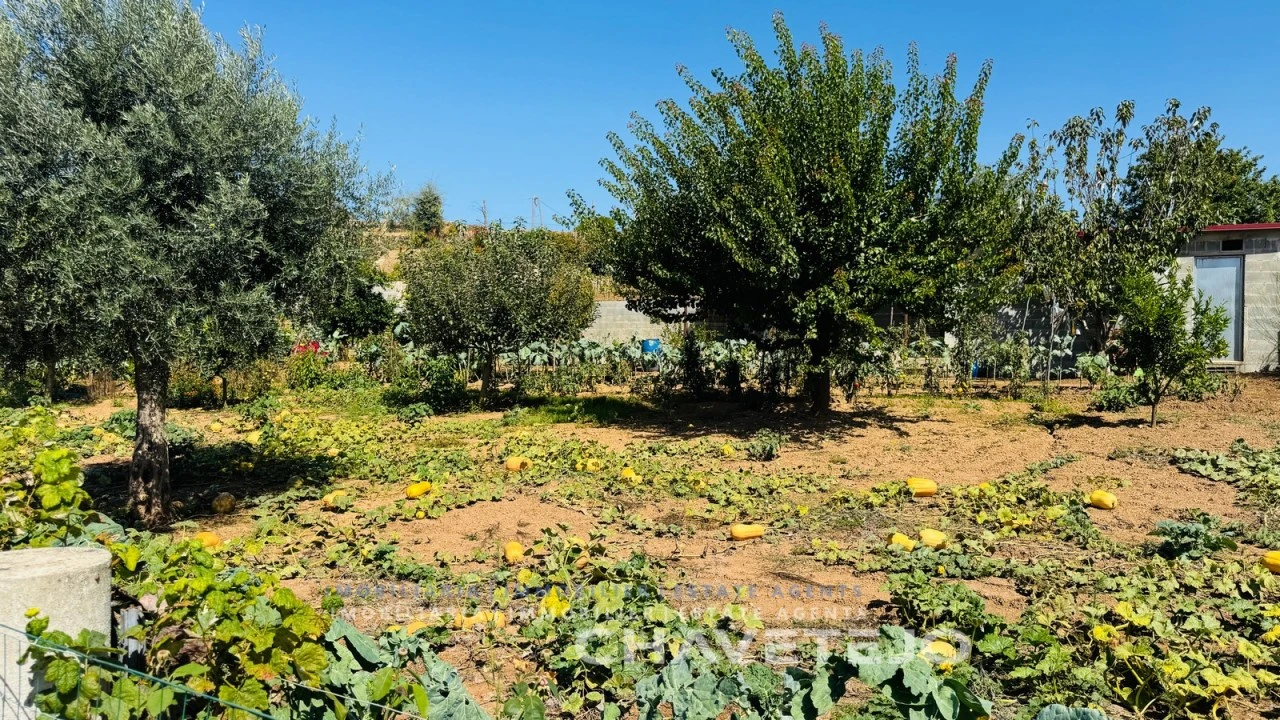 Quinta T5 para Venda em Graça Foto 22