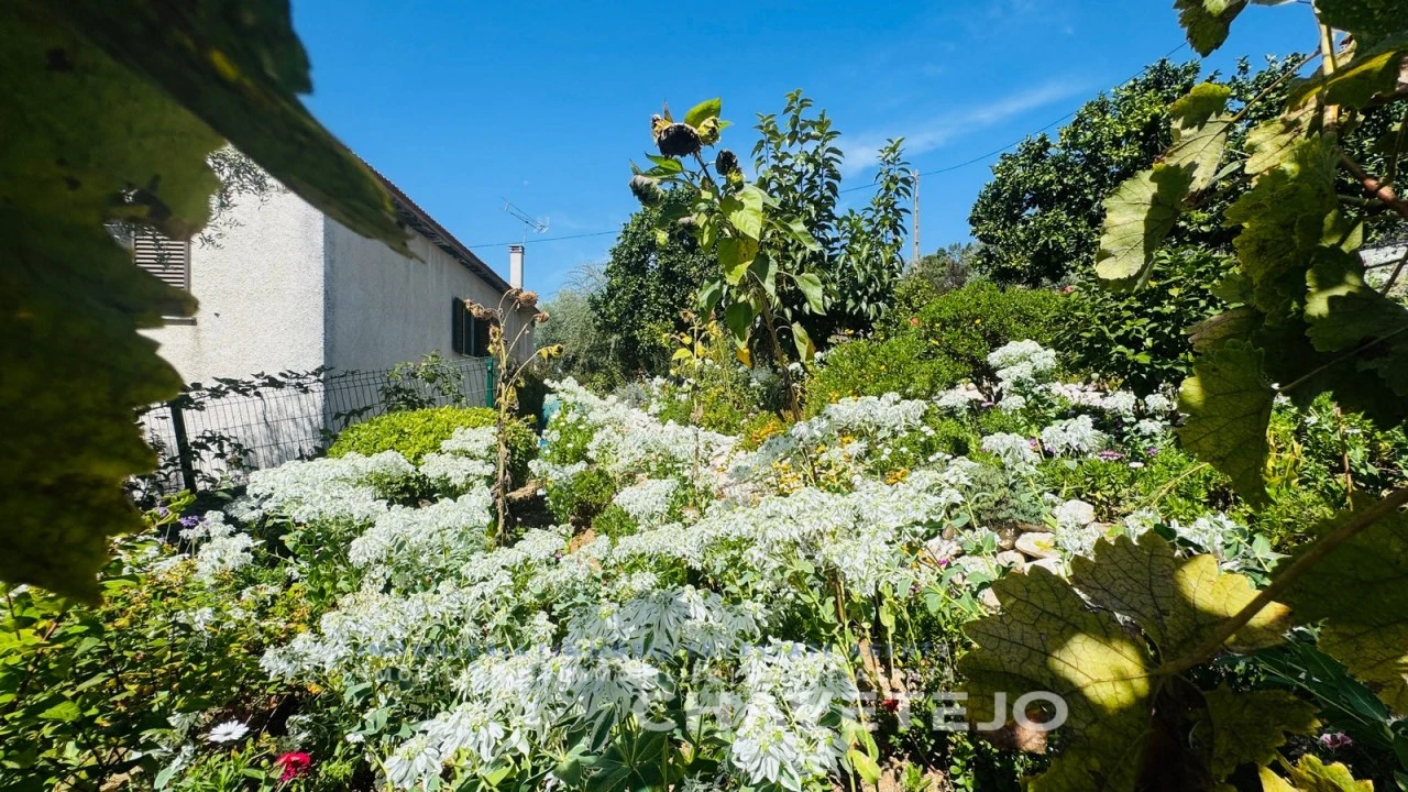 Quinta T5 para Venda em Graça Foto 32