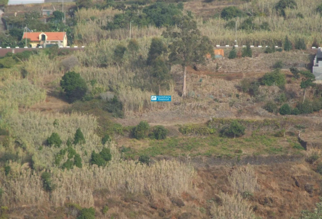 Terreno para Venda em Calheta Foto 1