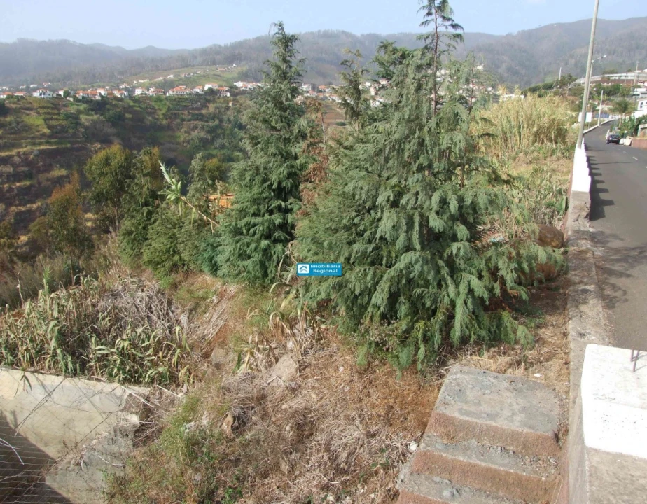 Terreno para Venda em Calheta Foto 6