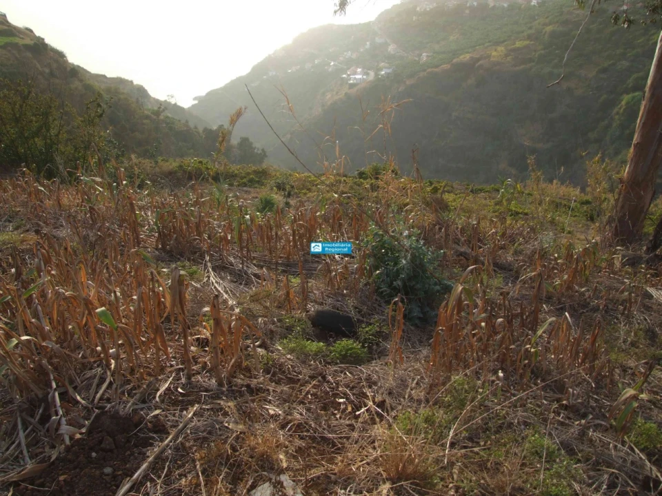 Terreno para Venda em Calheta Foto 7