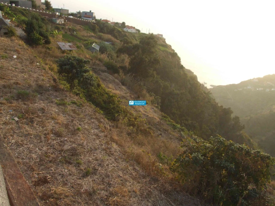Terreno para Venda em Calheta Foto 8