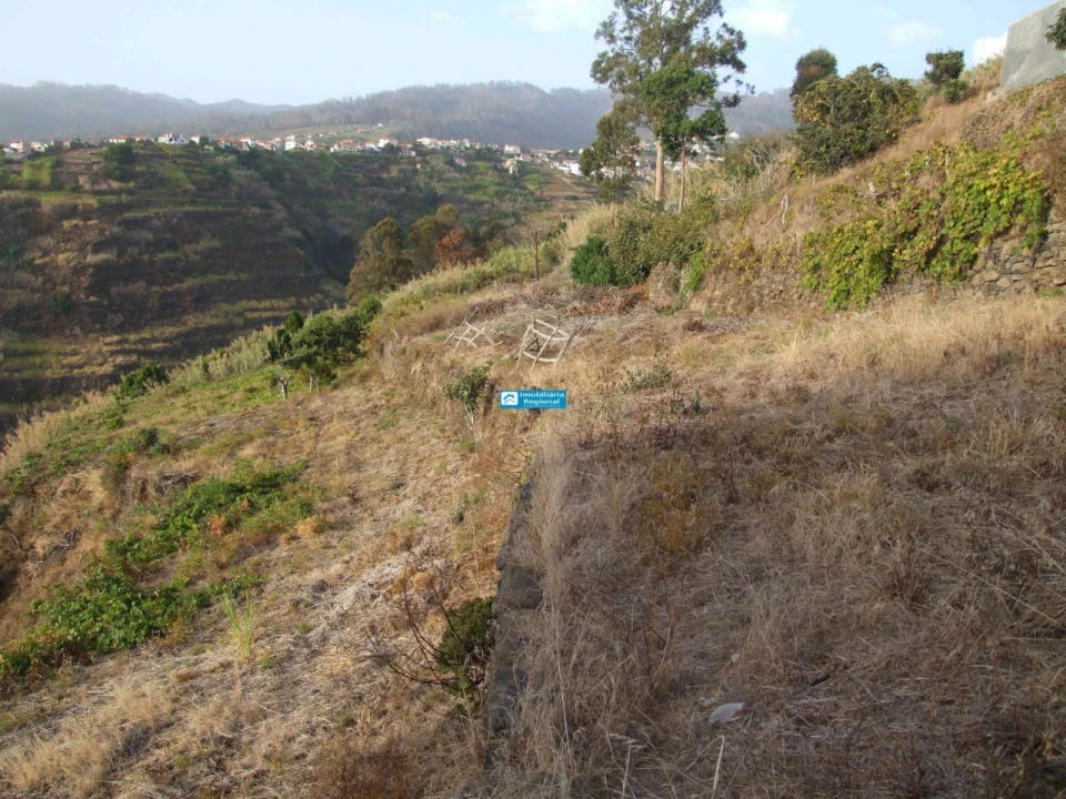 Terreno para Venda em Calheta Foto 9