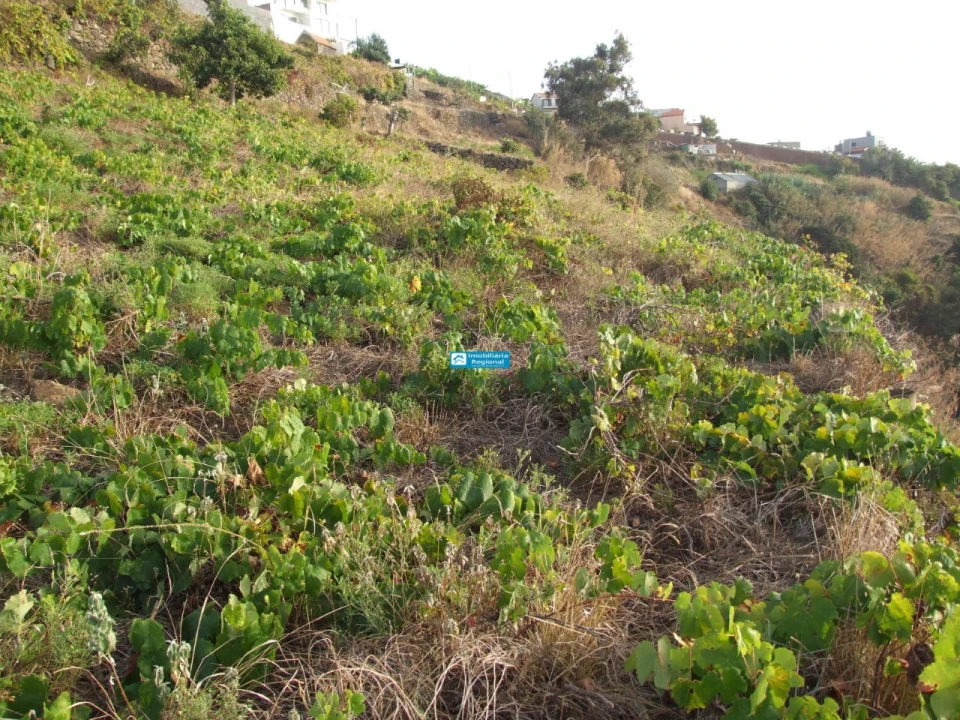 Terreno para Venda em Calheta Foto 11