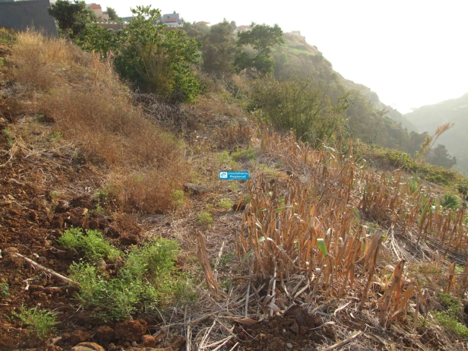 Terreno para Venda em Calheta Foto 13