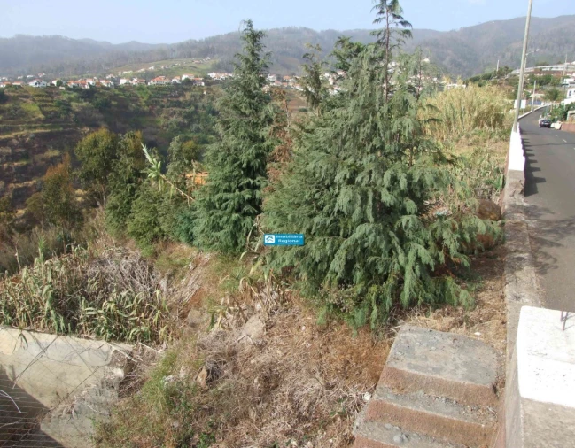 Terreno para Venda em Calheta Foto 6