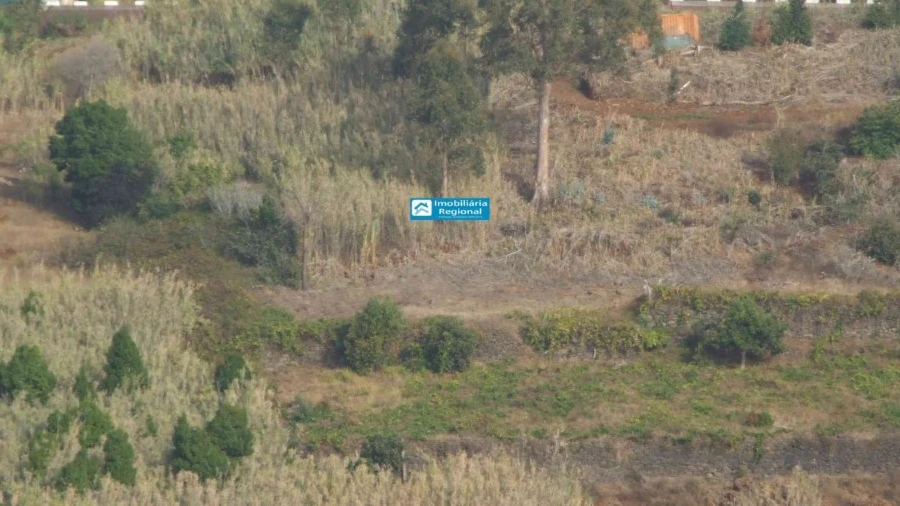 Terreno para Venda em Calheta