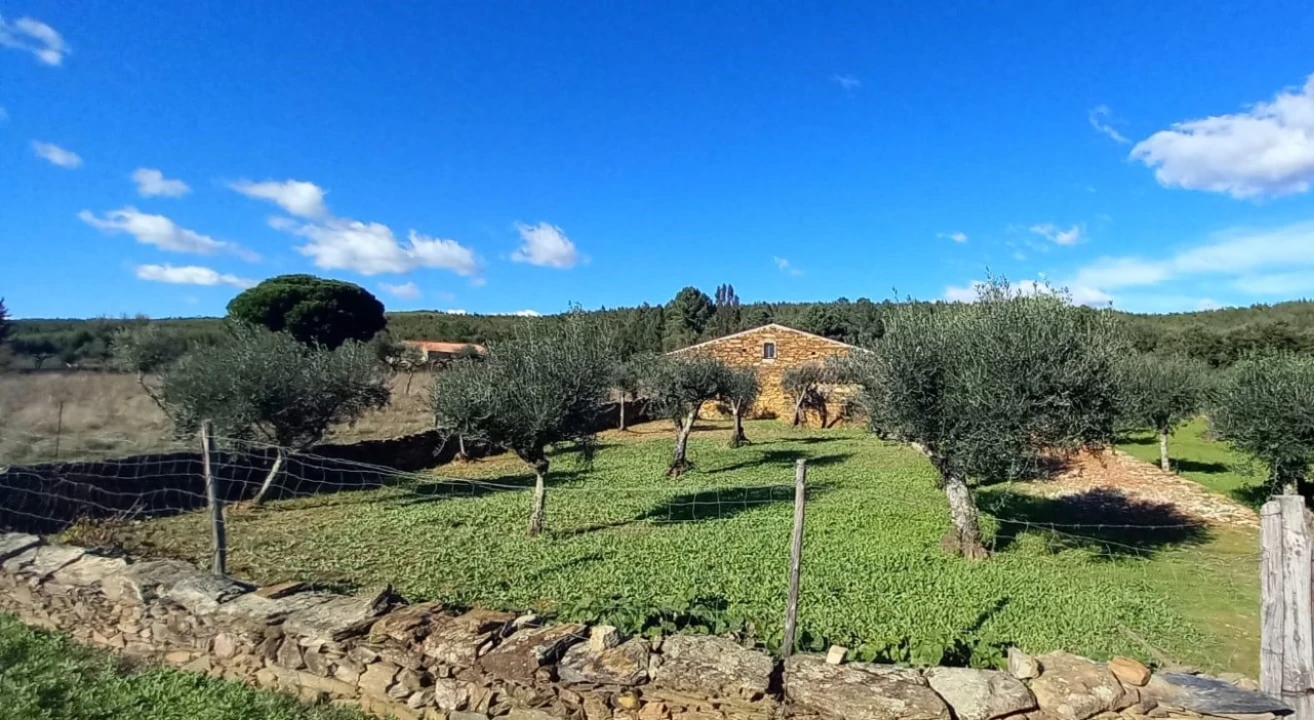 Quinta T3 para Venda em Alegrete Foto 2