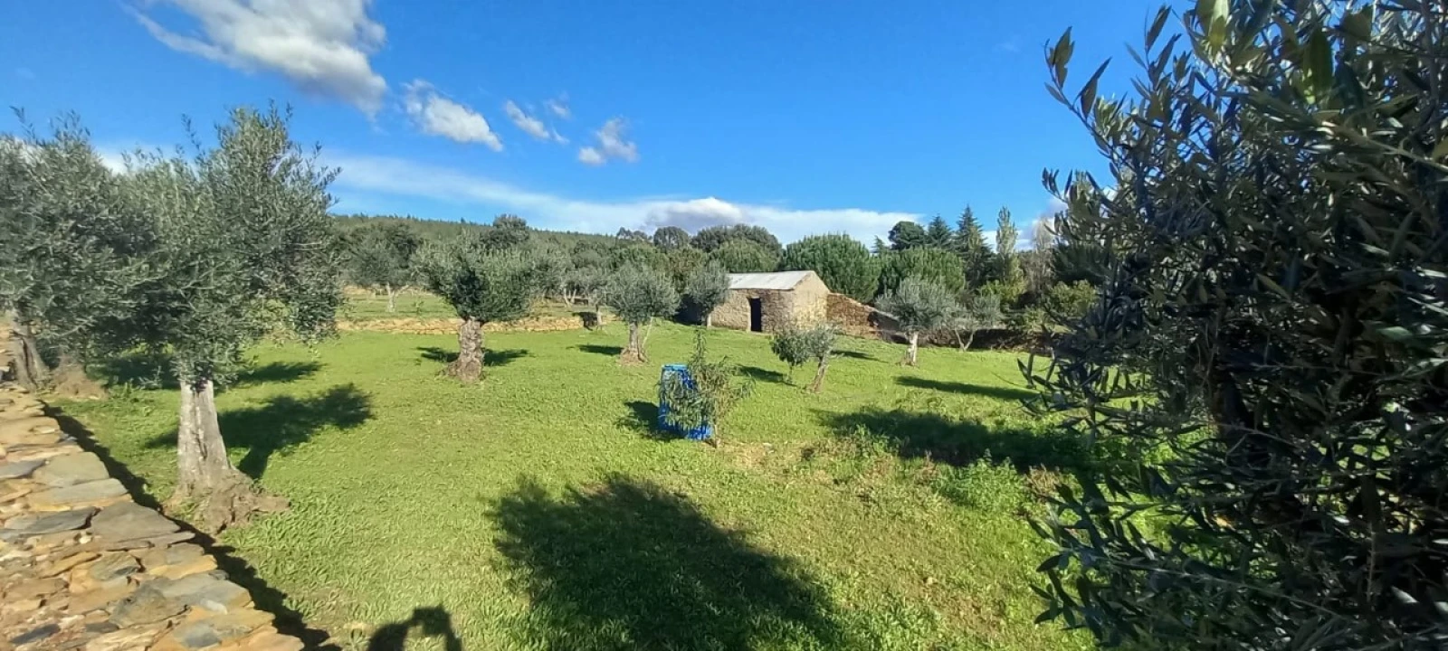 Quinta T3 para Venda em Alegrete Foto 7