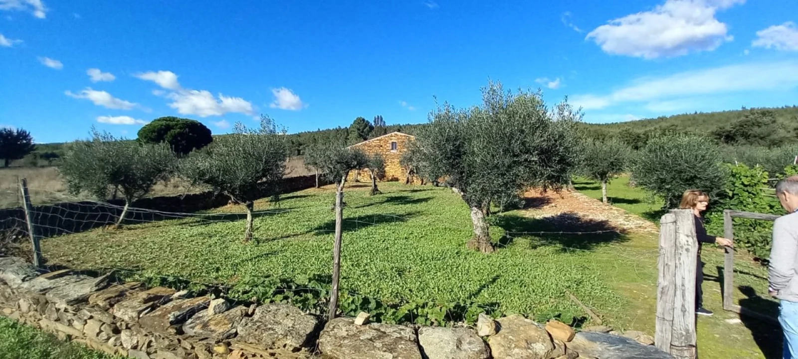 Quinta T3 para Venda em Alegrete Foto 8