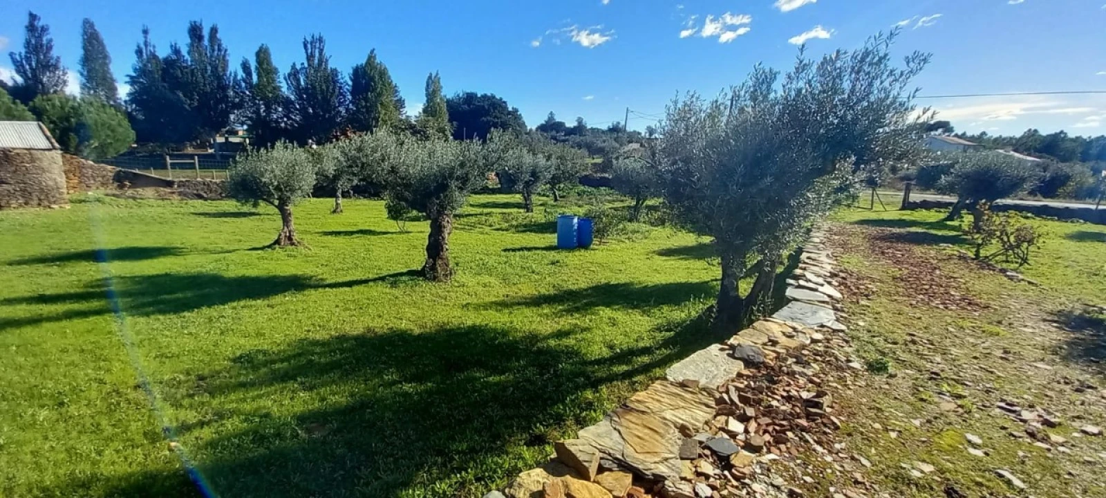 Quinta T3 para Venda em Alegrete Foto 9