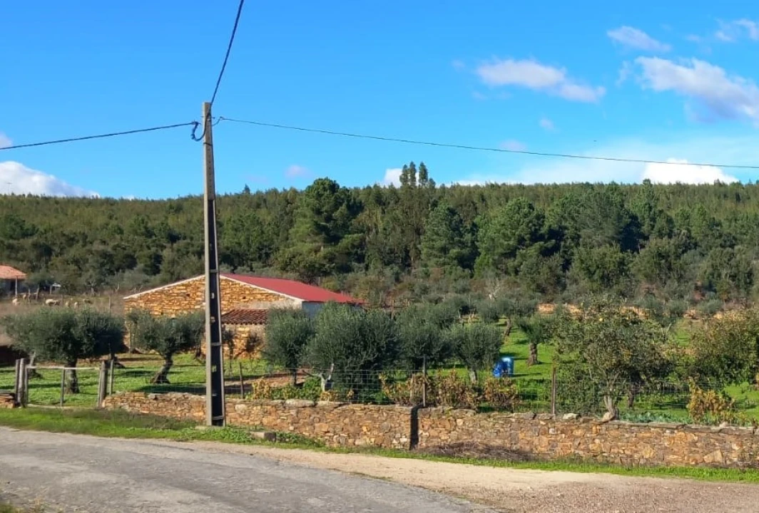 Quinta T3 para Venda em Alegrete Foto 1
