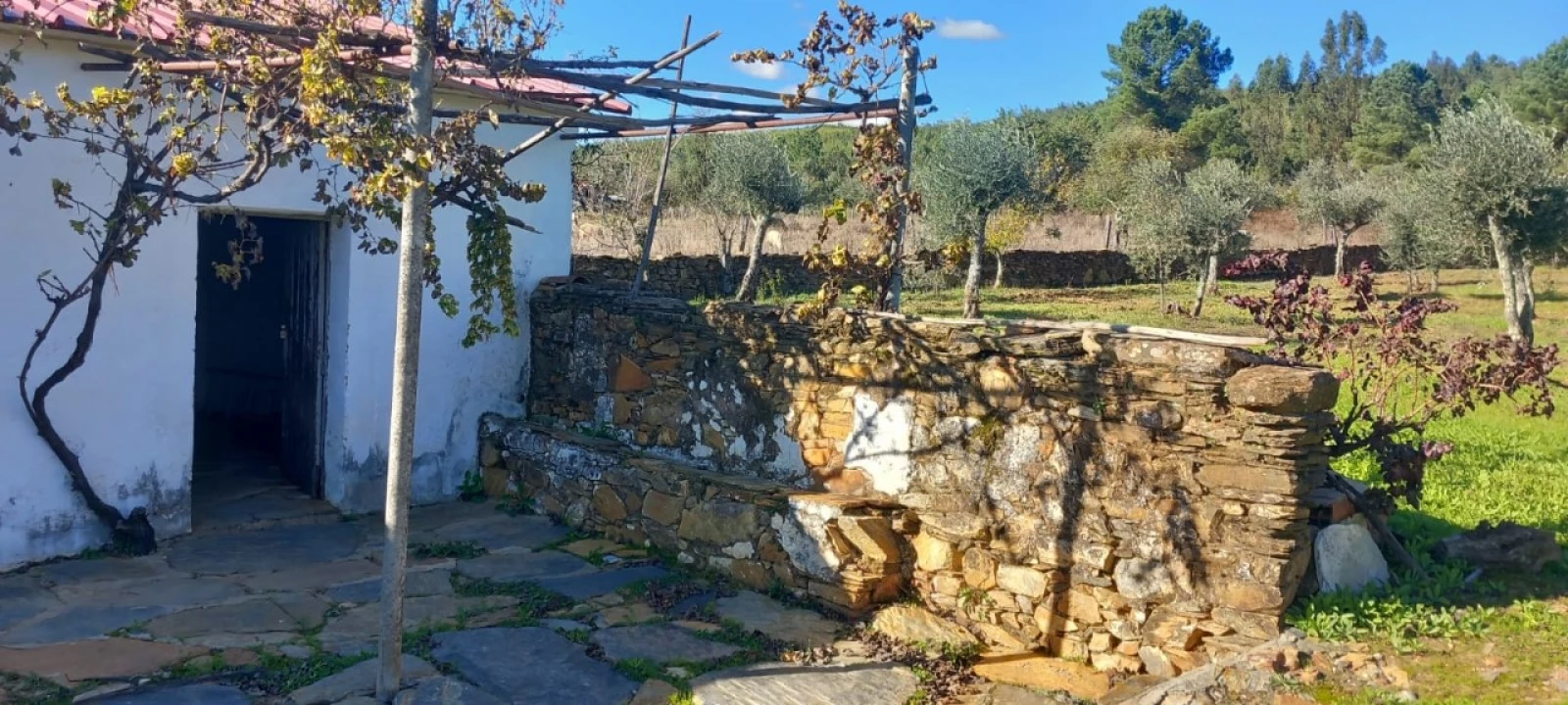 Quinta T3 para Venda em Alegrete Foto 18