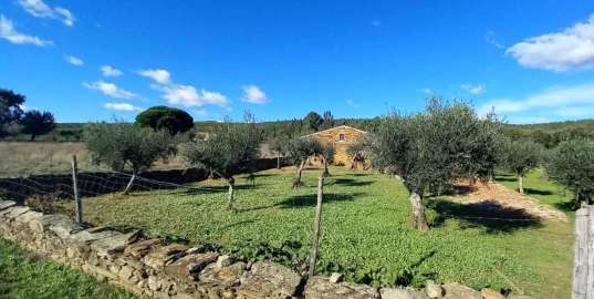 Quinta T3 para Venda em Alegrete