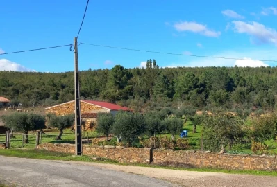 Quinta T3 para Venda em Alegrete