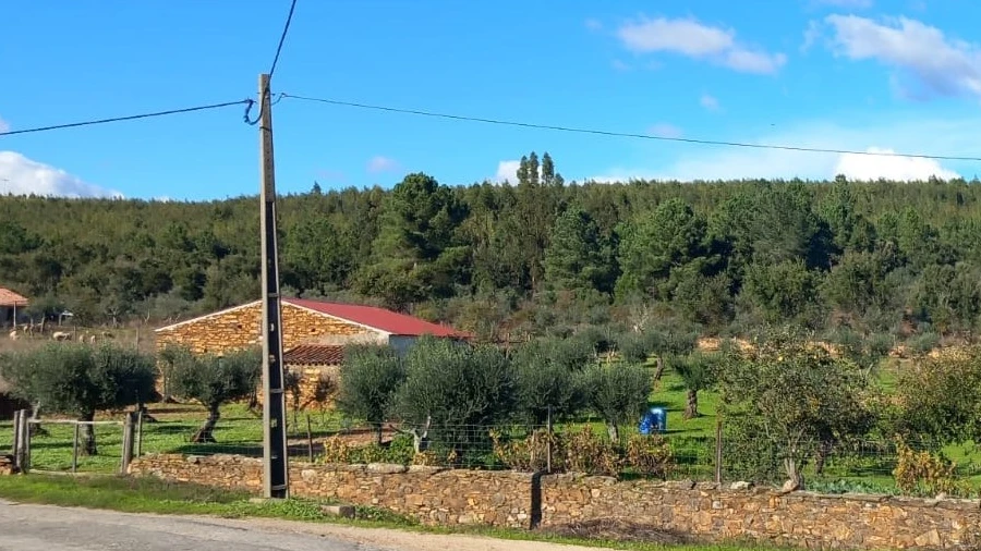 Quinta T3 para Venda em Alegrete