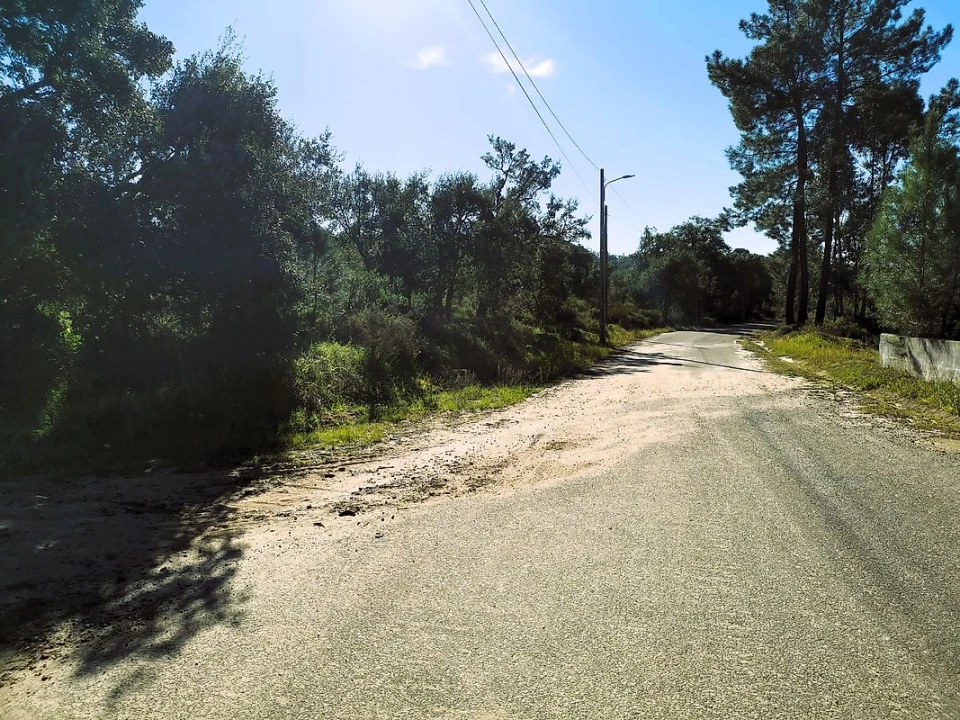 Terreno para Venda em Carregueira Foto 11