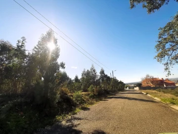 Terreno para Venda em Carregueira