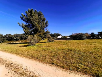 Terreno para Venda em Carregueira