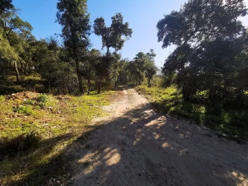 Terreno para Venda em Carregueira