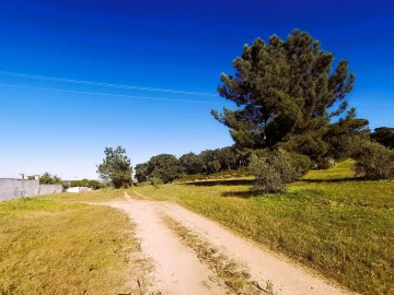 Terreno para Venda em Carregueira