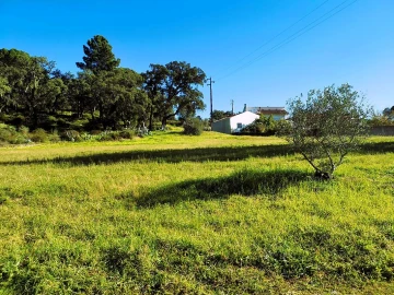 Terreno para Venda em Carregueira