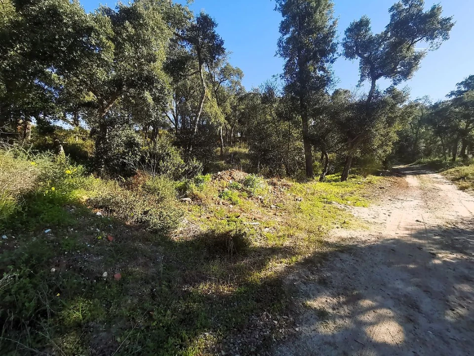 Terreno para Venda em Carregueira Foto 13