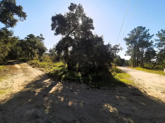 Terreno para Venda em Carregueira Foto 14