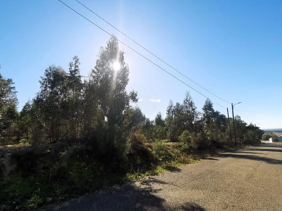 Terreno para Venda em Carregueira Foto 18