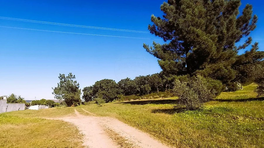 Terreno para Venda em Carregueira